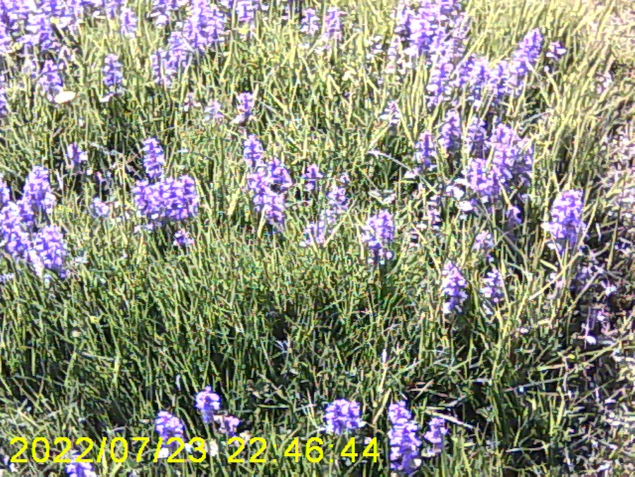 Gallery image 6